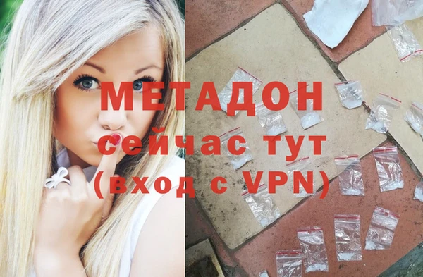 гидра Алексин