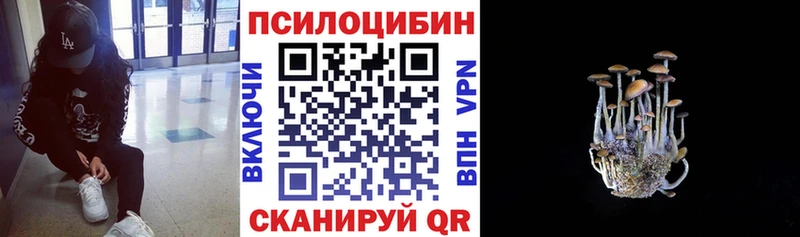 Псилоцибиновые грибы MAGIC MUSHROOMS  Славск 