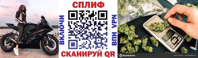 купить  цена  Славск  Бошки марихуана тримм 